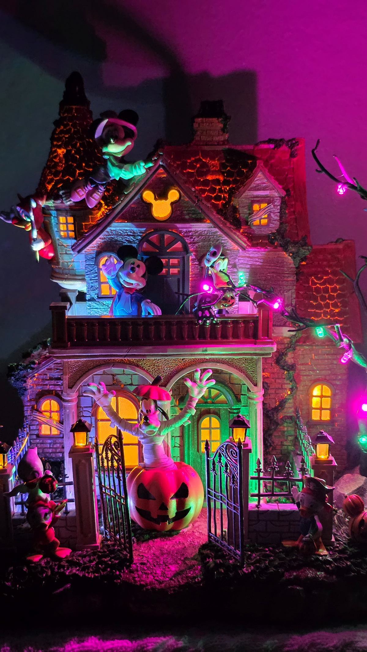 Disney Halloween Party House with Lights and Music