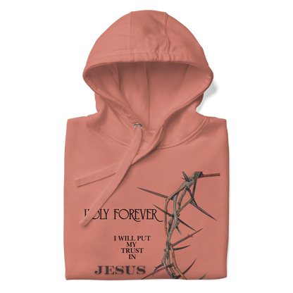 Walk by Faith, Not by Sight Men's and Women's Hoodies