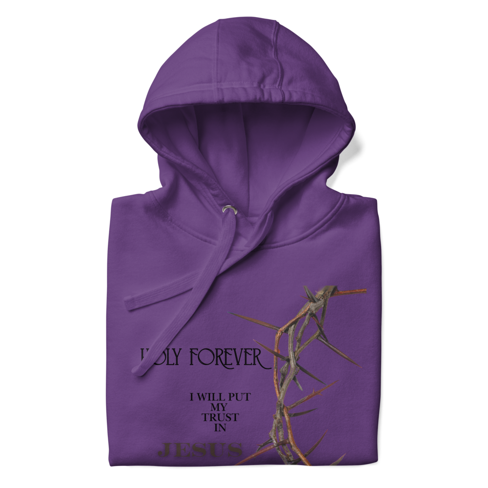 Walk by Faith, Not by Sight Men's and Women's Hoodies