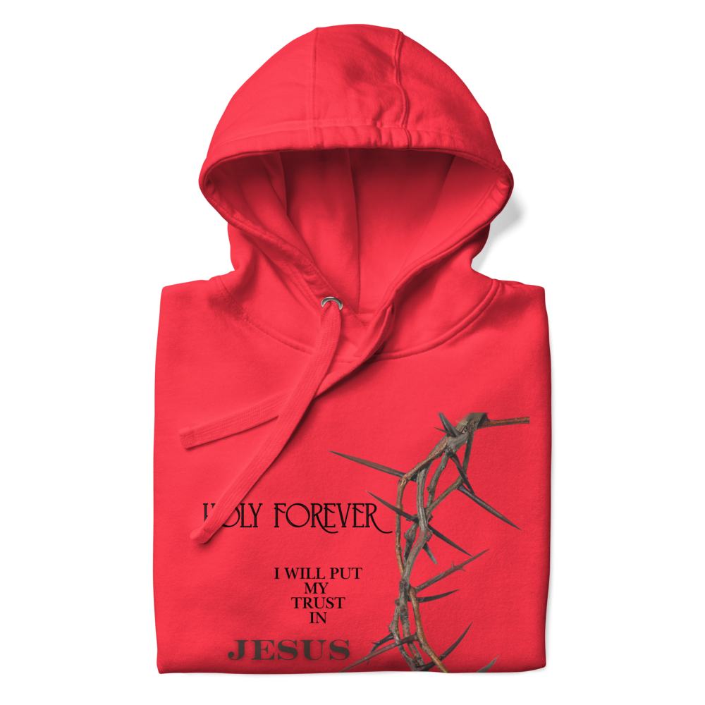 Walk by Faith, Not by Sight Men's and Women's Hoodies