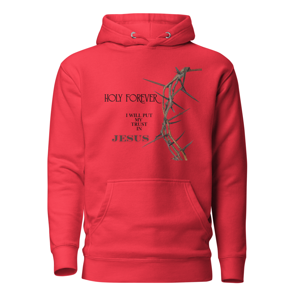 Walk by Faith, Not by Sight Men's and Women's Hoodies