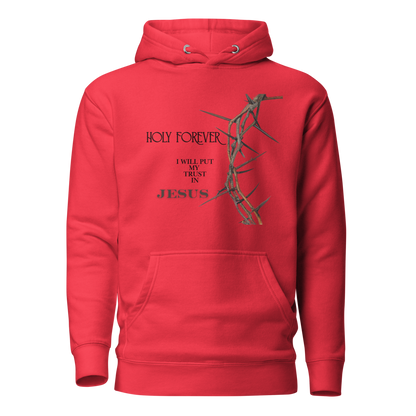 Walk by Faith, Not by Sight Men's and Women's Hoodies